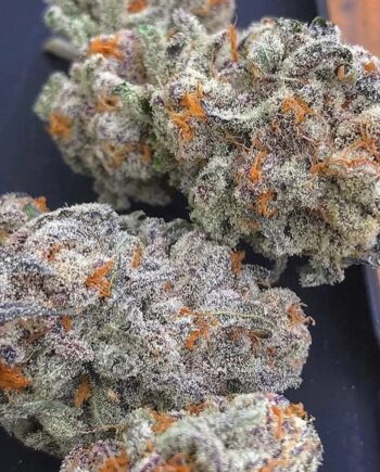 White Runtz White Runtz