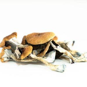 Home Brazilian Magic Mushrooms