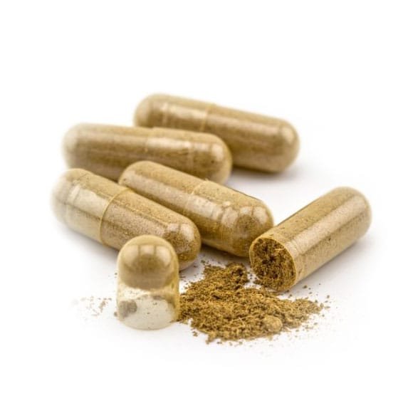 Iboga Root Bark Capsules Iboga Root Bark Capsules